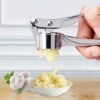 Stainless Steel Garlic Press Crusher