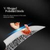 44d6c6f8-ffdc-4130-ba23-8f8714fbdec3.jpg Professional Boning Knife Stainless Steel Meat Fillet Knife
