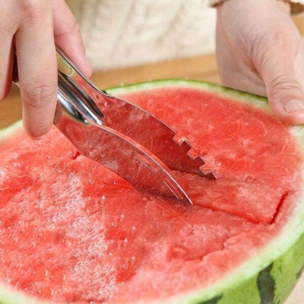 bbb94753-7301-4321-bed1-9ecfa98d36d5_800x800.jpeg Stainless Steel Windmill Watermelon Slicer