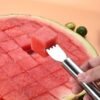 dcbb2a34-ba22-4b63-95b8-14d0f68b0d50.jpg Stainless Steel Watermelon Slicer & Server
