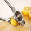 1pc Stainless Steel Manual Juicer